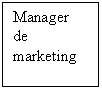 Text Box: Manager de marketing