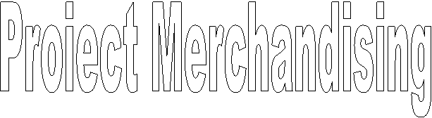 Proiect Merchandising