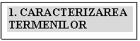 Text Box: 1. CARACTERIZAREA TERMENILOR

