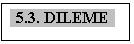 Text Box: 5.3. DILEME

