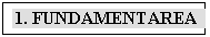 Text Box: 1. FUNDAMENTAREA

