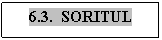 Text Box: 6.3.  SORITUL

