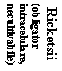 Text Box:  Ricketsii
(obligator
intracelulare,
necultivabile)
