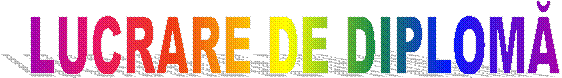 LUCRARE DE DIPLOMĂ