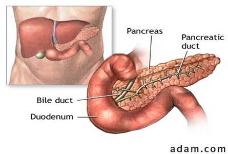 pancreatitis_1