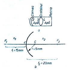 I:omul sistem biofzochiredus.jpg