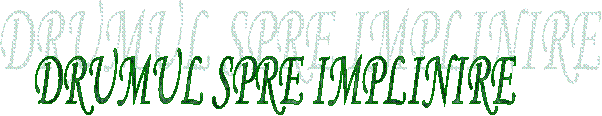 DRUMUL SPRE IMPLINIRE