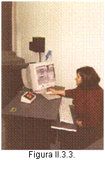 Text Box:  
Figura II.3.3.

