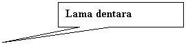 Rectangular Callout: Lama dentara