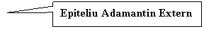 Rectangular Callout: Epiteliu Adamantin Extern