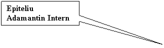 Rectangular Callout: Epiteliu Adamantin Intern