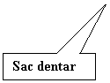 Rectangular Callout: Sac dentar
