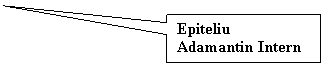 Rectangular Callout: Epiteliu Adamantin Intern