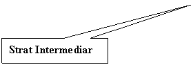 Rectangular Callout: Strat Intermediar