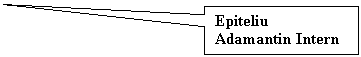Rectangular Callout: Epiteliu Adamantin Intern