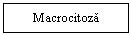 Text Box: Macrocitoza