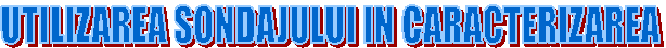 UTILIZAREA SONDAJULUI IN CARACTERIZAREA
