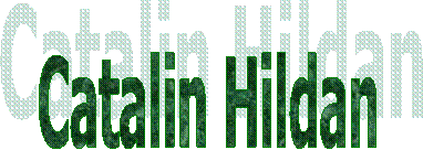 Catalin Hildan