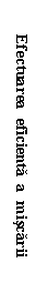 Text Box: Efectuarea  eficienta  a  miscarii