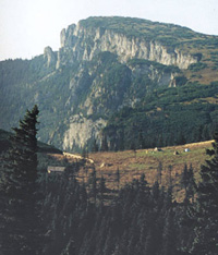 Vârful Ocolasul Mare (1907 m)