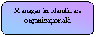 Rounded Rectangle: Manager n planificare organizationala