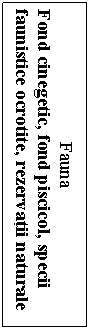 Text Box: Fauna
Fond cinegetic, fond piscicol, specii faunistice ocrotite, rezervaii naturale
