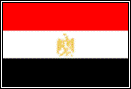 Steag Egypt