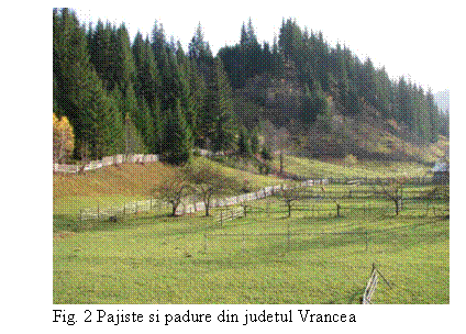 Text Box: 
Fig. 2 Pajiste si padure din judetul Vrancea
