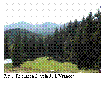 Text Box: 
Fig.1 Regiunea Soveja Jud. Vrancea

