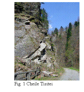 Text Box:  
Fig. 1 Cheile Tisitei
