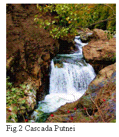 Text Box:  
Fig.2 Cascada Putnei
