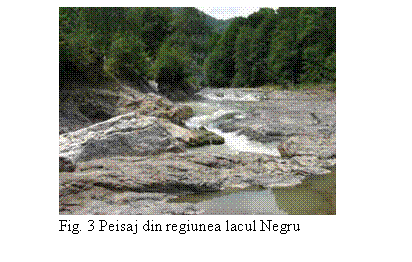 Text Box: 
Fig. 3 Peisaj din regiunea lacul Negru
