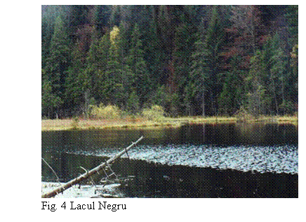 Text Box: 
Fig. 4 Lacul Negru
