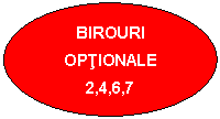 Oval: BIROURI OPTIONALE
2,4,6,7
