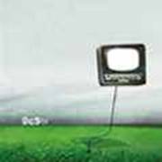 Dan Amariei, voce Cezar Panait, chitara George Sia, tobe Adrian Albu, bass Nucu, chitara 